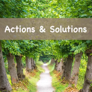 Actions & Solutions